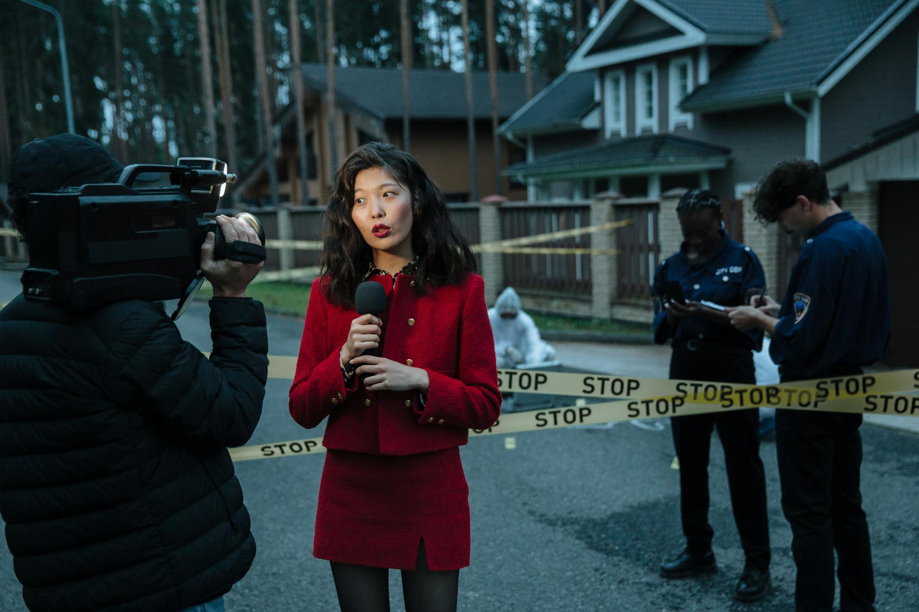 Crime Simulation